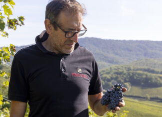 Vendemmia 2024 a Podere Capaccia: un Chianti Classico di eleganza