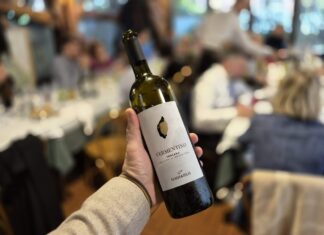 GagiaBlu: un viaggio tra passione, promesse e certezze