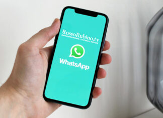 Vino ed enogastronomia: notizie via WhatsApp gratuite