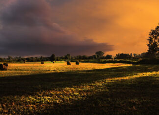 La Piana di Rieti candidata a sito GIAHS