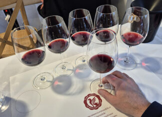 Vino Nobile: che finezza la 22