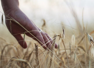 Bonus formazione da 2.500 euro per giovani agricoltori
