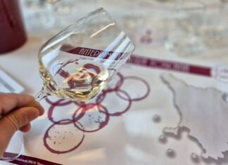 L’Altra Toscana: crescita e qualità per i vini DOC