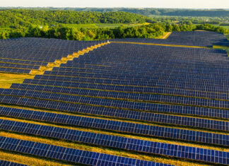 Agroenergia, un settore con potenziale ma ostacoli normativi