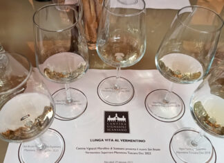 Vermentino, un’evoluzione di carattere in Maremma