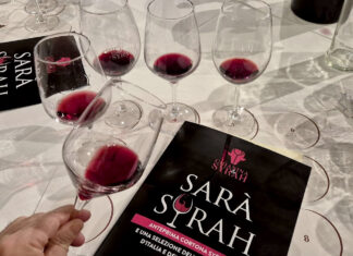 Cortona e il Syrah: tra modernità e nuove interpretazioni