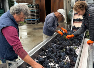 Carmignano a Firenze: Fabrizio Pratesi chiude “A Tavola con il Produttore”