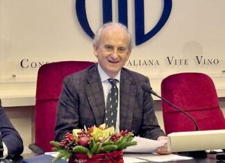 Vino italiano e dazi Usa: 25 miliardi di danni all’economia americana