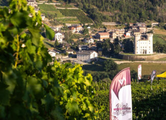 Valle d’Aosta, vendemmia 2025 anticipata e di qualità