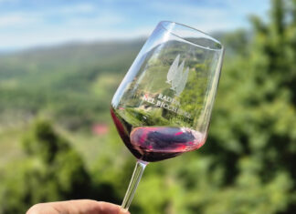 Chianti Classico, svolta a Radda: meno legno, più identità