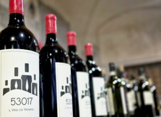 Radda, unione e confronto: così cresce il vino del territorio