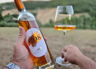 Quando il vino parla di famiglia, identità e futuro