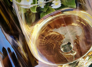 Vermentino “Vigne Basse” di Terenzuola: Eleganza Marina in Bottiglia