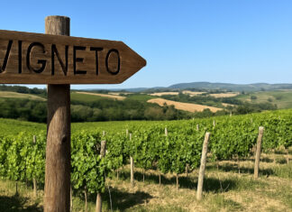 Pubblicità gratis? Il vero costo nascosto per le aziende agricole