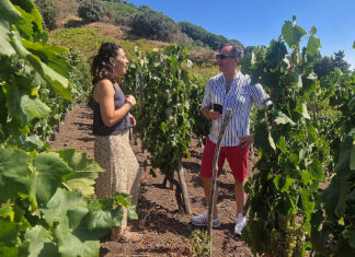 Versante Sud: eccellenza etnea da scoprire