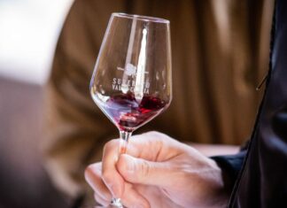 Nuovo disciplinare Suvereto Docg: entrano Syrah e Cabernet