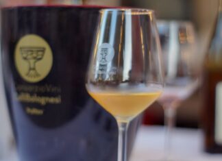 Tornano gli eventi dei vini dei Colli Bolognesi