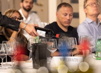 Pisa, il gusto protagonista al Terre di Pisa Festival