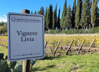 Sangiovese al tempo dei cambiamenti climatici