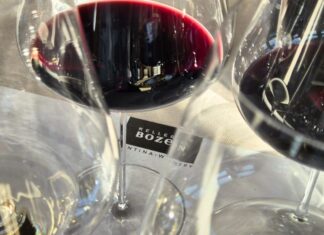 I TAL di Cantina Bozen: un viaggio tra eccellenza e valorizzazione