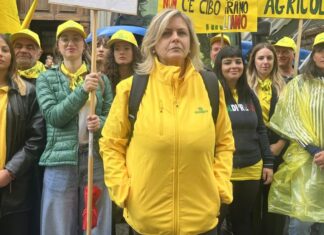 Agricoltura, allarme Coldiretti sui tagli UE e sul Mercosur