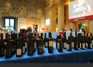 Premio Roma Vino 2025: i migliori vini del Lazio