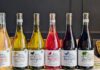 Cantina Tollo, dalla vigna al bosco per l’orso marsicano