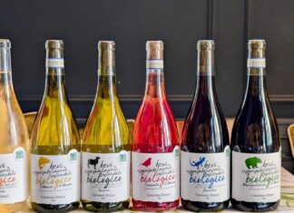 Cantina Tollo, dalla vigna al bosco per l’orso marsicano